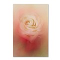 Trademark Fine Art Jai Johnson 'Valentine Rose' Canvas Art, 12x19 ALI14183-C1219GG